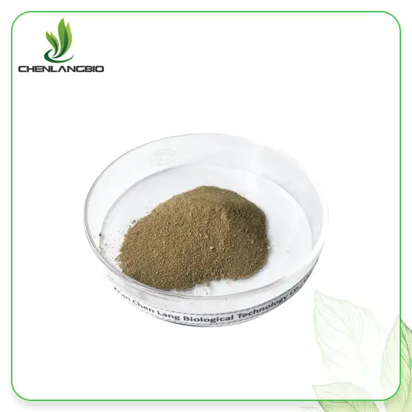 Spine Date Seed Extract